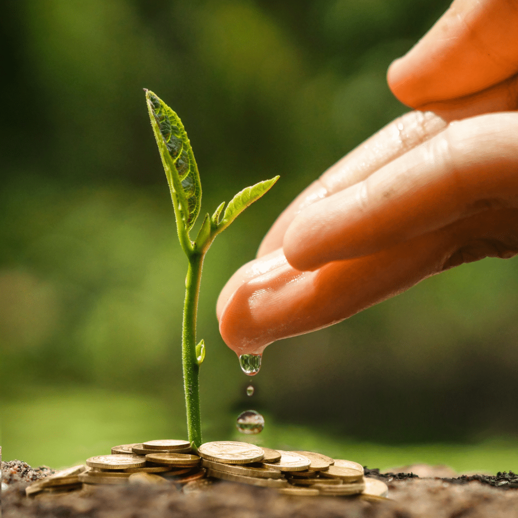 Aïga Resort @Boutonprod